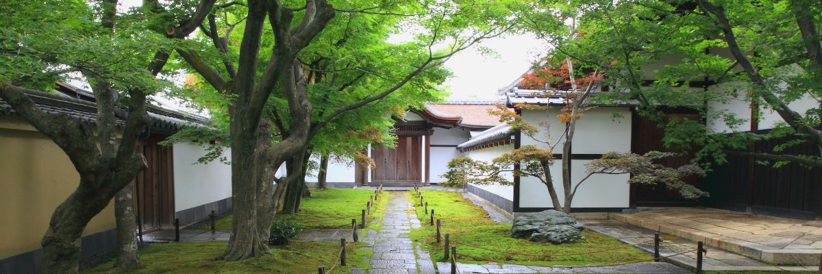 About Daitoku-ji Oubai-in Temple