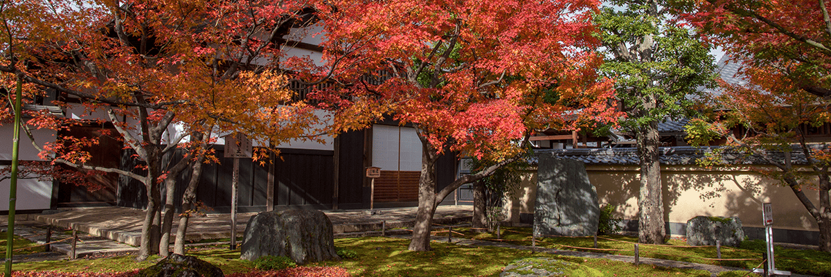 About Daitoku-ji Oubai-in Temple